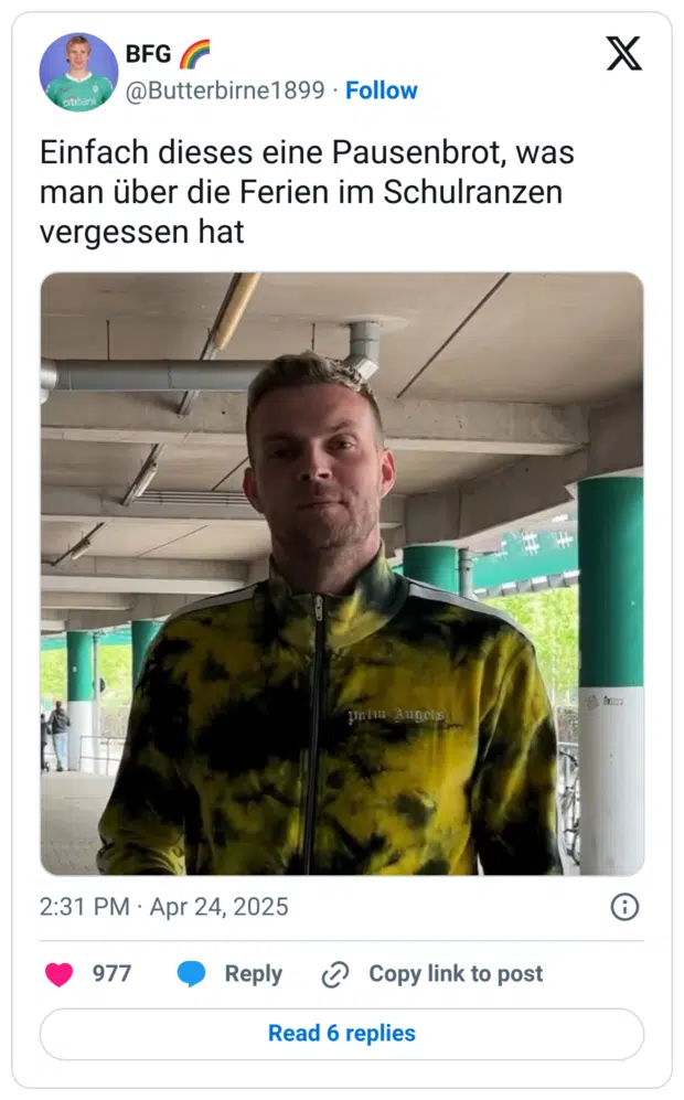 Einfach dieses eine Pausenbrot, was man über die Ferien im Schulranzen vergessen hat