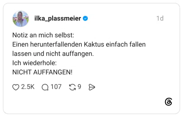Notiz an mich selbst: Einen herunterfallenden Kaktus einfach fallen lassen und nicht auffangen. Ich wiederhole: NICHT AUFFANGEN!