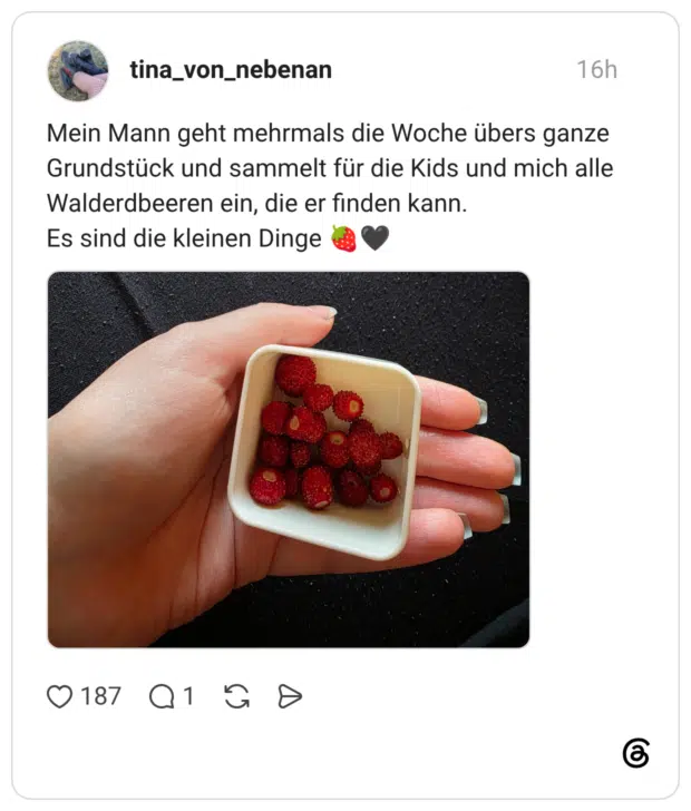 Mein Mann geht mehrmals die Woche übers ganze Grundstück und sammelt für die Kids und mich alle Walderdbeeren ein, die er finden kann. Es sind die kleinen Dinge