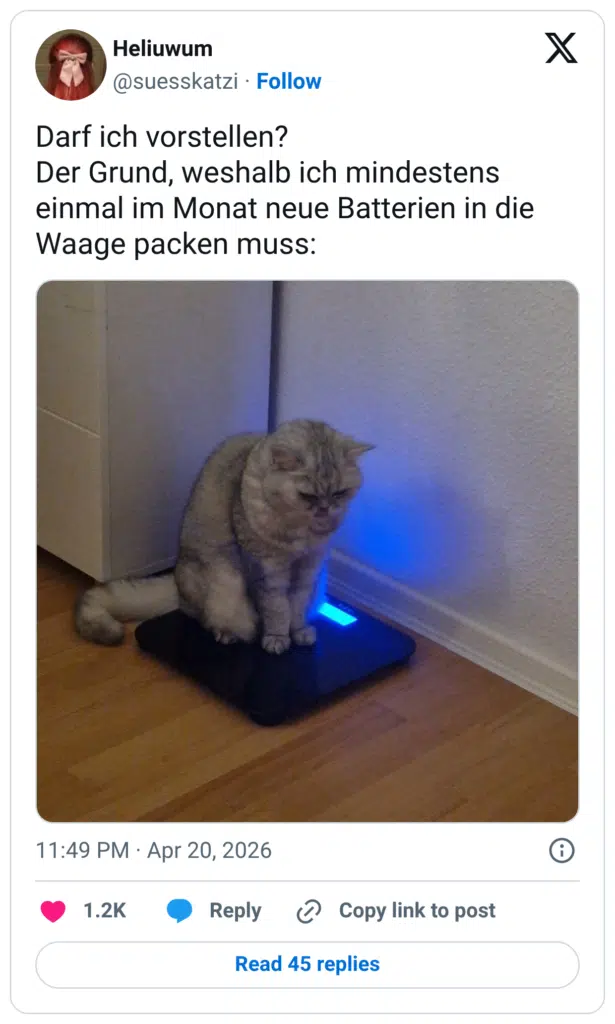 Darf ich vorstellen? Der Grund, weshalb ich mindestens einmal im Monat neue Batterien in die Waage packen muss:
