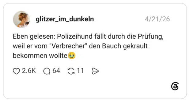 Eben gelesen: Polizeihund fällt durch die Prüfung, weil er vom "Verbrecher" den Bauch gekrault bekommen wollte🥹