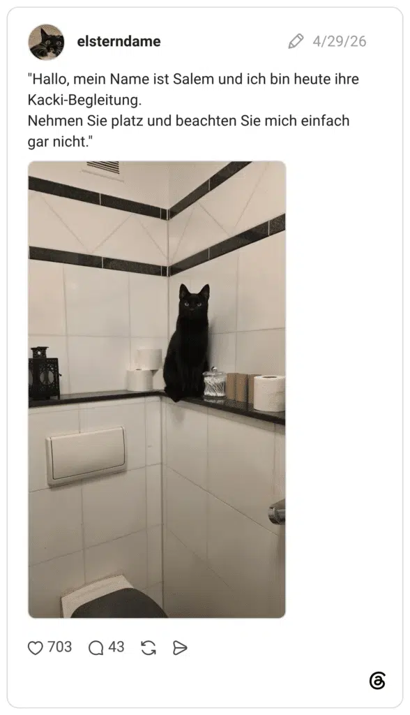 "Hallo, mein Name ist Salem und ich bin heute ihre Kacki-Begleitung. Nehmen Sie platz und beachten Sie mich einfach gar nicht."