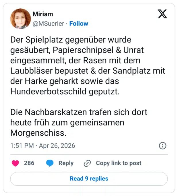 Der Spielplatz gegenüber wurde gesäubert, Papierschnipsel & Unrat eingesammelt, der Rasen mit dem Laubbläser bepustet & der Sandplatz mit der Harke geharkt sowie das Hundeverbotsschild geputzt. Die Nachbarskatzen trafen sich dort heute früh zum gemeinsamen Morgenschiss.