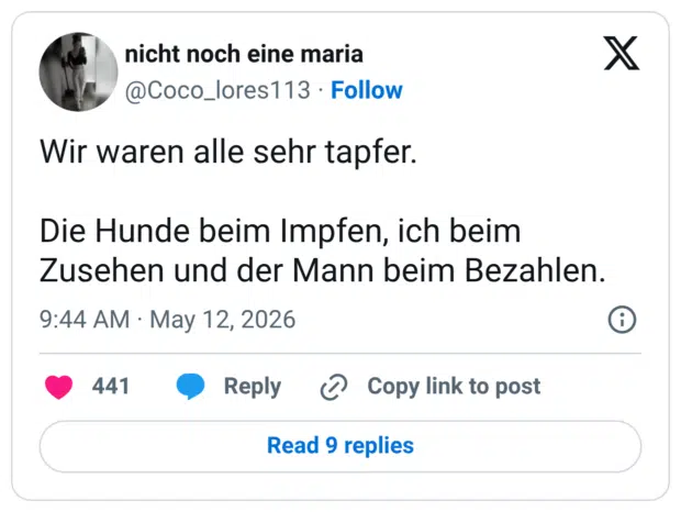 Wir waren alle sehr tapfer. Die Hunde beim Impfen, ich beim Zusehen und der Mann beim Bezahlen.