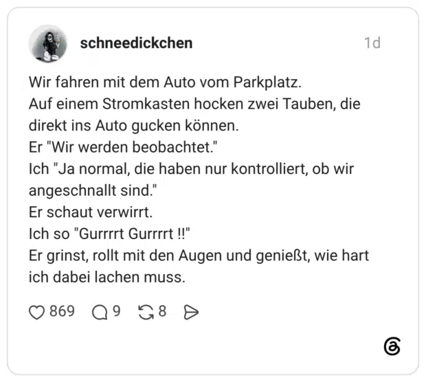 Wir fahren mit dem Auto vom Parkplatz. Auf einem Stromkasten hocken zwei Tauben, die direkt ins Auto gucken können. Er "Wir werden beobachtet." Ich "Ja normal, die haben nur kontrolliert, ob wir angeschnallt sind." Er schaut verwirrt. Ich so "Gurrrrt Gurrrrt !!" Er grinst, rollt mit den Augen und genießt, wie hart ich dabei lachen muss.