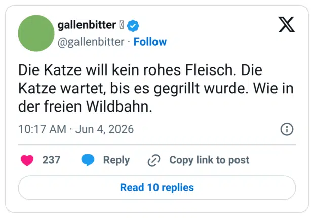 Die Katze will kein rohes Fleisch. Die Katze wartet, bis es gegrillt wurde. Wie in der freien Wildbahn.