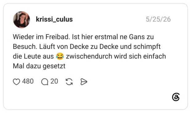 Wieder im Freibad. Ist hier erstmal ne Gans zu Besuch. Läuft von Decke zu Decke und schimpft die Leute aus 😂 zwischendurch wird sich einfach Mal dazu gesetzt