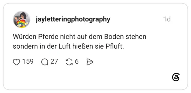 Würden Pferde nicht auf dem Boden stehen sondern in der Luft hießen sie Pfluft.