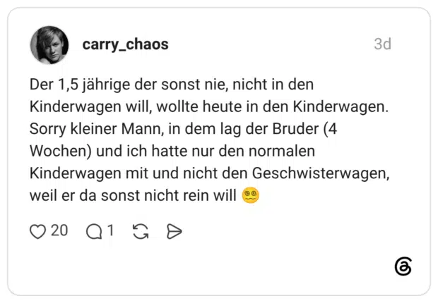 Der 1,5 jährige der sonst nie, nicht in den Kinderwagen will, wollte heute in den Kinderwagen. Sorry kleiner Mann, in dem lag der Bruder (4 Wochen) und ich hatte nur den normalen Kinderwagen mit und nicht den Geschwisterwagen, weil er da sonst nicht rein will