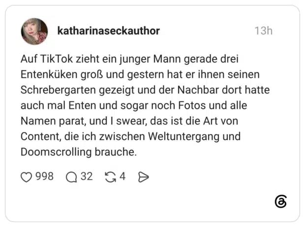 Auf TikTok zieht ein junger Mann gerade drei Entenküken groß und gestern hat er ihnen seinen Schrebergarten gezeigt und der Nachbar dort hatte auch mal Enten und sogar noch Fotos und alle Namen parat, und I swear, das ist die Art von Content, die ich zwischen Weltuntergang und Doomscrolling brauche. 1 / 2