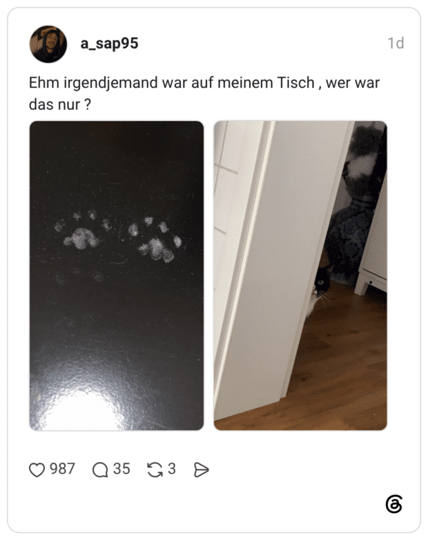 Ehm irgendjemand war auf meinem Tisch, wer war das nur ?