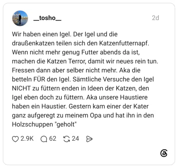 Wir haben einen Igel. Der Igel und die draußenkatzen teilen sich den Katzenfutternapf. Wenn nicht mehr genug Futter abends da ist, machen die Katzen Terror, damit wir neues rein tun. Fressen dann aber selber nicht mehr. Aka die betteln FÜR den Igel. Sämtliche Versuche den Igel NICHT zu füttern enden in Ideen der Katzen, den Igel eben doch zu füttern. Aka unsere Haustiere haben ein Haustier. Gestern kam einer der Kater ganz aufgeregt zu meinem Opa und hat ihn in den Holzschuppen "geholt"