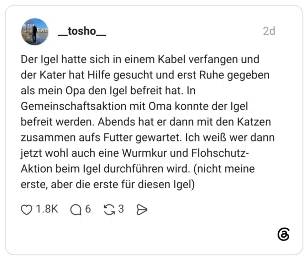 Der Igel hatte sich in einem Kabel verfangen und der Kater hat Hilfe gesucht und erst Ruhe gegeben als mein Opa den Igel befreit hat. In Gemeinschaftsaktion mit Oma konnte der Igel befreit werden. Abends hat er dann mit den Katzen zusammen aufs Futter gewartet. Ich weiß wer dann jetzt wohl auch eine Wurmkur und Flohschutz-Aktion beim Igel durchführen wird. (nicht meine erste, aber die erste für diesen Igel) 2 / 3