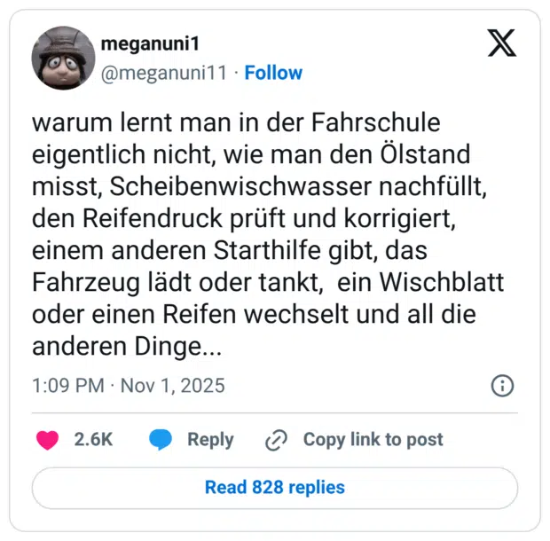 warum lernt man in der Fahrschule eigentlich nicht, wie man den Ölstand misst, Scheibenwischwasser nachfüllt, den Reifendruck prüft und korrigiert, einem anderen Starthilfe gibt, das Fahrzeug lädt oder tankt, ein Wischblatt oder einen Reifen wechselt und all die anderen Dinge...
