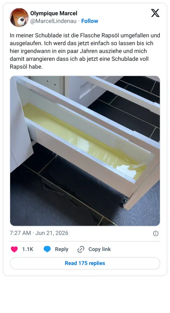 In meiner Schublade ist die Flasche Rapsöl umgefallen und ausgelaufen. Ich werd das jetzt einfach so lassen bis ich hier irgendwann in ein paar Jahren ausziehe und mich damit arrangieren dass ich ab jetzt eine Schublade voll Rapsol habe.