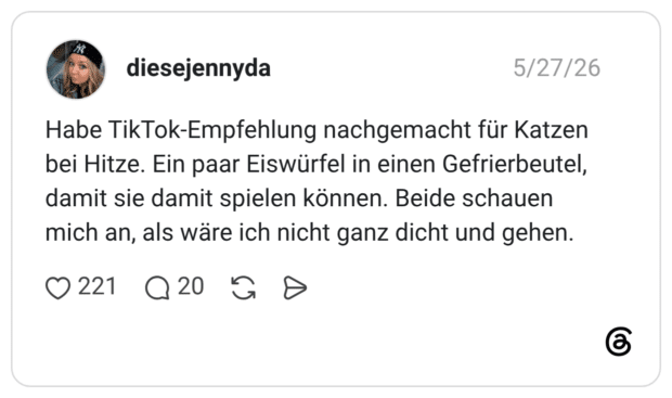 Habe TikTok-Empfehlung nachgemacht für Katzen bei Hitze. Ein paar Eiswürfel in einen Gefrierbeutel, damit sie damit spielen können. Beide schauen mich an, als wäre ich nicht ganz dicht und gehen.