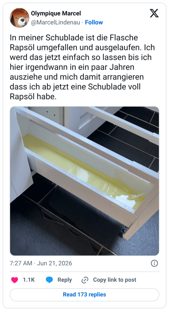 In meiner Schublade ist die Flasche Rapsöl umgefallen und ausgelaufen. Ich werd das jetzt einfach so lassen bis ich hier irgendwann in ein paar Jahren ausziehe und mich damit arrangieren dass ich ab jetzt eine Schublade voll Rapsöl habe.
