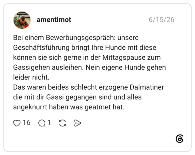 Bei einem Bewerbungsgespräch: unsere Geschäftsführung bringt Ihre Hunde mit diese können sie sich gerne in der Mittagspause zum Gassigehen ausleihen. Nein eigene Hunde gehen leider nicht. Das waren beides schlecht erzogene Dalmatiner die mit dir Gassi gegangen sind und alles angeknurrt haben was geatmet hat.