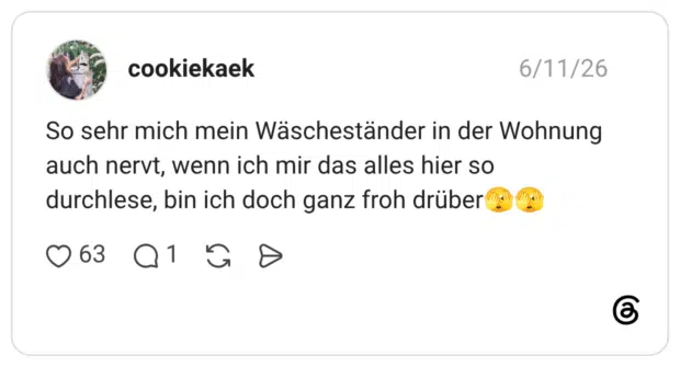 So sehr mich mein Wäscheständer in der Wohnung auch nervt, wenn ich mir das alles hier so durchlese, bin ich doch ganz froh drüber🫣🫣