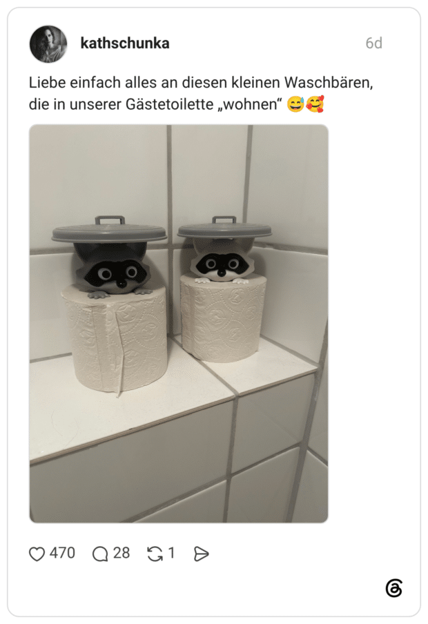Liebe einfach alles an diesen kleinen Waschbären, die in unserer Gästetoilette „wohnen“ 😅🥰