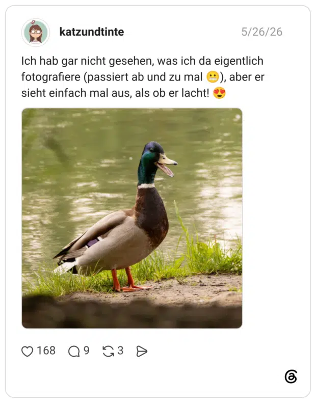 Ich hab gar nicht gesehen, was ich da eigentlich fotografiere (passiert ab und zu mal 😬), aber er sieht einfach mal aus, als ob er lacht! 😍