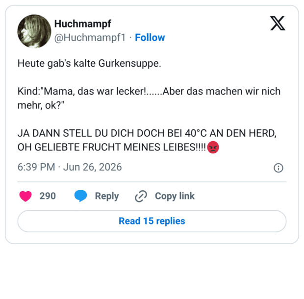 Heute gab's kalte Gurkensuppe. Kind:"Mama, das war lecker! mehr, ok?" JA DANN STELL DU DICH DOCH BEI 40°C AN DEN HERD, OH GELIEBTE FRUCHT MEINES LEIBES!!!!