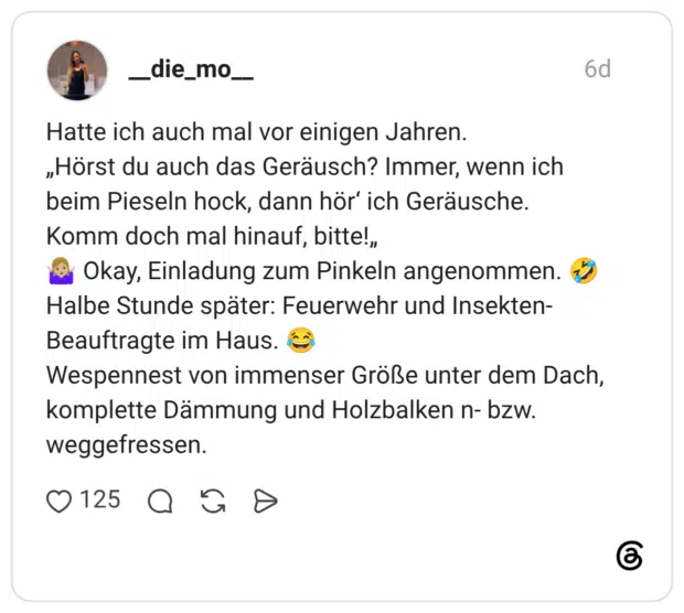 Hatte ich auch mal vor einigen Jahren. „Hörst du auch das Geräusch? Immer, wenn ich beim Pieseln hock, dann hör' ich Geräusche. Komm doch mal hinauf, bitte!,, Okay, Einladung zum Pinkeln angenommen. Halbe Stunde später: Feuerwehr und Insekten-Beauftragte im Haus. Wespennest von immenser Größe unter dem Dach, komplette Dämmung und Holzbalken n- bzw. weggefressen.