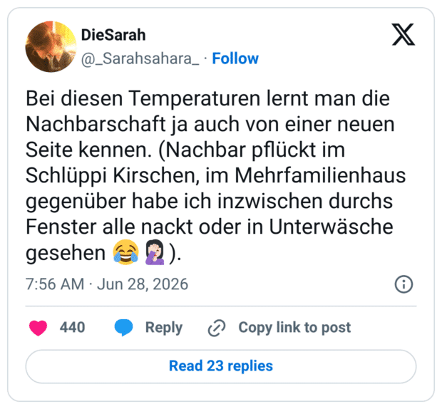 Bei diesen Temperaturen lernt man die Nachbarschaft ja auch von einer neuen Seite kennen. (Nachbar pflückt im Schlüppi Kirschen, im Mehrfamilienhaus gegenüber habe ich inzwischen durchs Fenster alle nackt oder in Unterwäsche gesehen