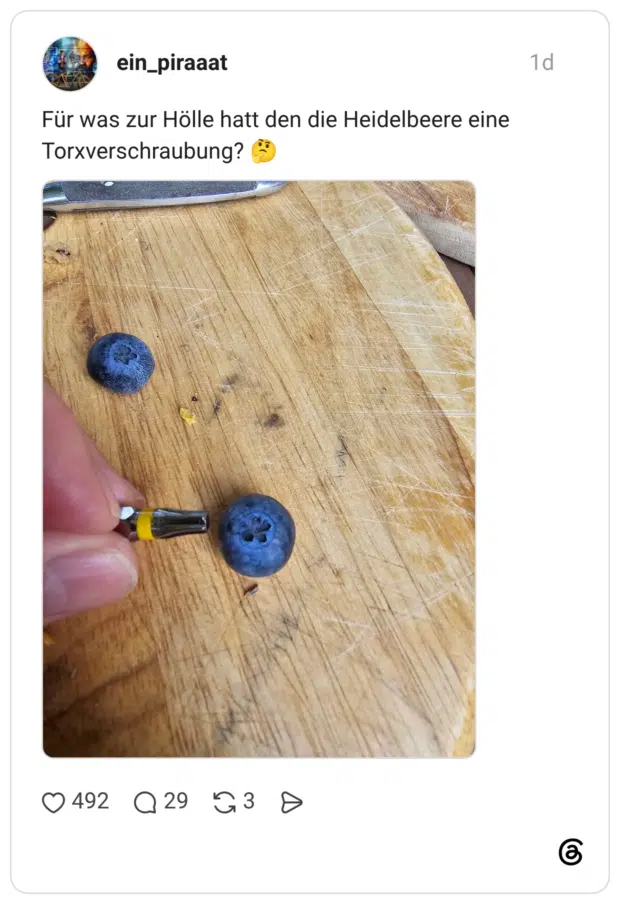 ein_piraaat Für was zur Hölle hatt den die Heidelbeere eine Torxverschraubung?