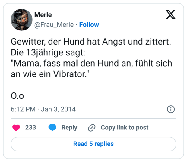 Gewitter, der Hund hat Angst und zittert. Die 13jährige sagt: "Mama, fass mal den Hund an, fühlt sich an wie ein Vibrator." O.o