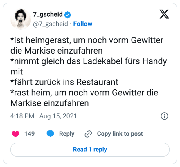 *ist heimgerast, um noch vorm Gewitter die Markise einzufahren *nimmt gleich das Ladekabel fürs Handy mit *fährt zurück ins Restaurant *rast heim, um noch vorm Gewitter die Markise einzufahren