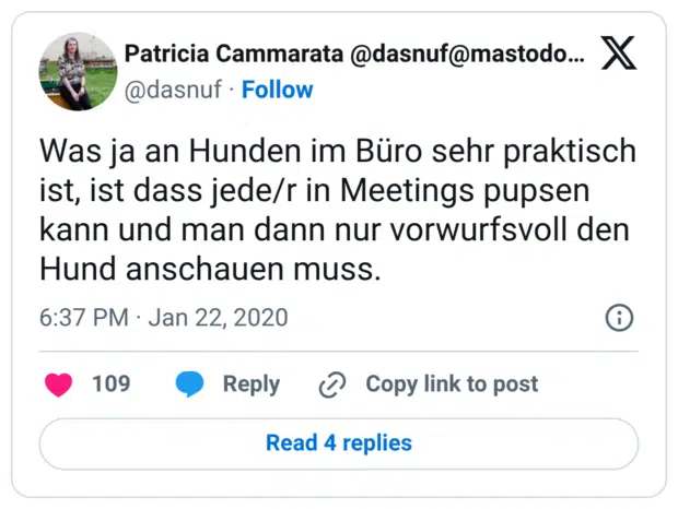Was ja an Hunden im Büro sehr praktisch ist, ist dass jede/r in Meetings pupsen kann und man dann nur vorwurfsvoll den Hund anschauen muss.