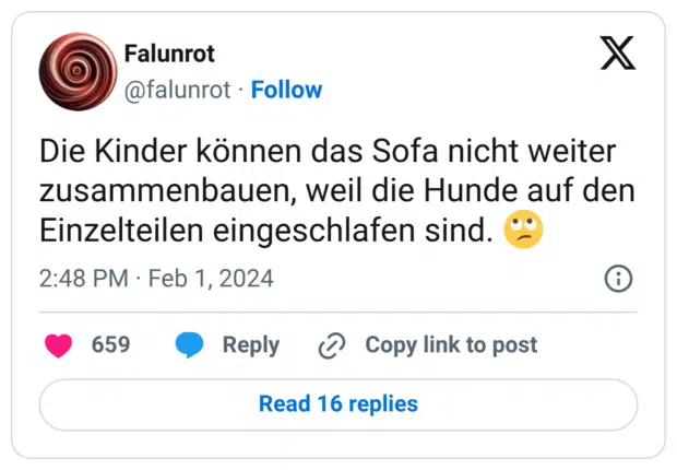 Die Kinder können das Sofa nicht weiter zusammenbauen, weil die Hunde auf den Einzelteilen eingeschlafen sind