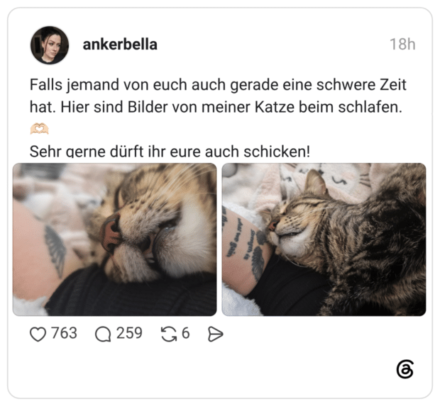 Falls jemand von euch auch gerade eine schwere Zeit hat. Hier sind Bilder von meiner Katze beim schlafen. 🫶🏻 Sehr gerne dürft ihr eure auch schicken!