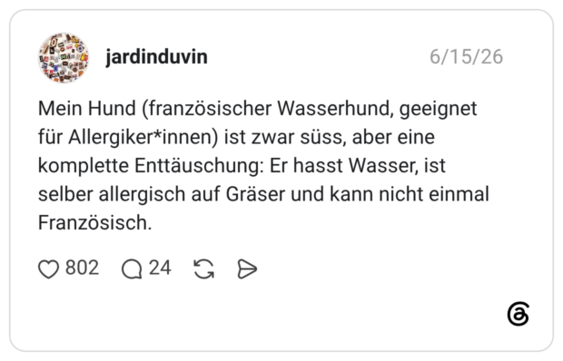 Mein Hund (französischer Wasserhund, geeignet für Allergiker*innen) ist zwar süss, aber eine komplette Enttäuschung: Er hasst Wasser, ist selber allergisch auf Gräser und kann nicht einmal Französisch.
