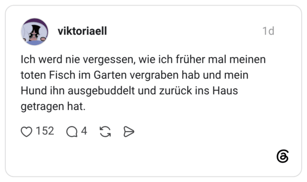 Ich werd nie vergessen, wie ich früher mal meinen toten Fisch im Garten vergraben hab und mein Hund ihn ausgebuddelt und zurück ins Haus getragen hat.