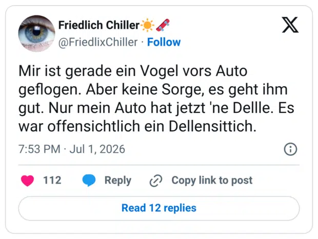 Mir ist gerade ein Vogel vors Auto geflogen. Aber keine Sorge, es geht ihm gut. Nur mein Auto hat jetzt 'ne Dellle. Es war offensichtlich ein Dellensittich
