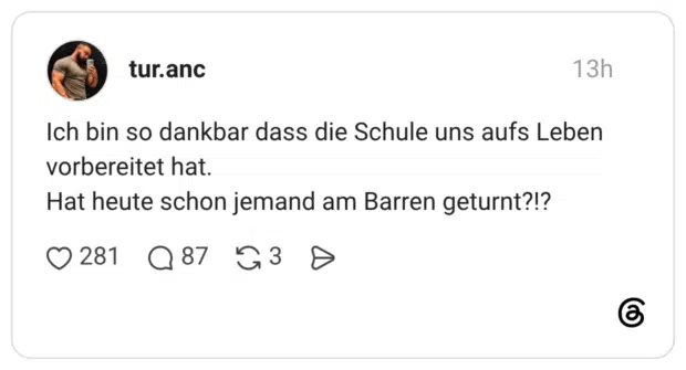 Ich bin so dankbar dass die Schule uns aufs Leben vorbereitet hat. Hat heute schon jemand am Barren geturnt?!?
