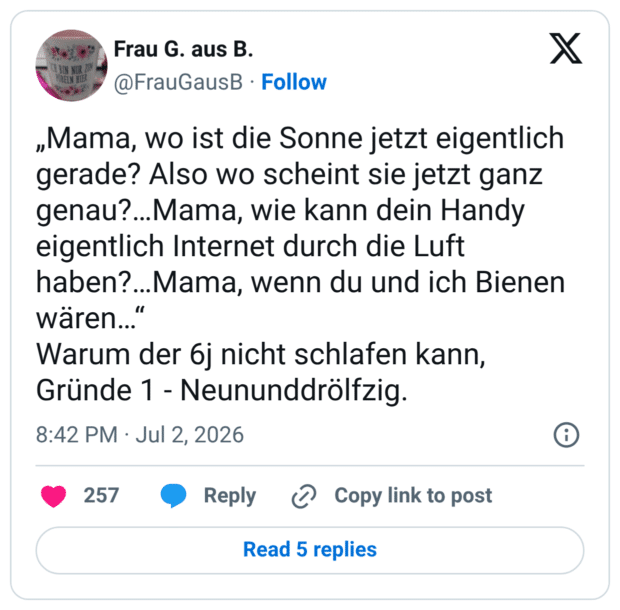 SON NUR ZO BELN HIER „Mama, wo ist die Sonne jetzt eigentlich gerade? Also wo scheint sie jetzt ganz genau?... Mama, wie kann dein Handy eigentlich Internet durch die Luft haben?...Mama, wenn du und ich Bienen wären... Warum der 6j nicht schlafen kann, Gründe 1 - Neununddrölfzig.