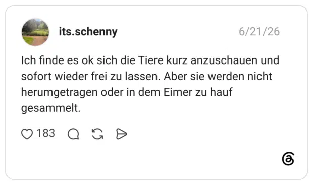Ich finde es ok sich die Tiere kurz anzuschauen und sofort wieder frei zu lassen. Aber sie werden nicht herumgetragen oder in dem Eimer zu hauf gesammelt.