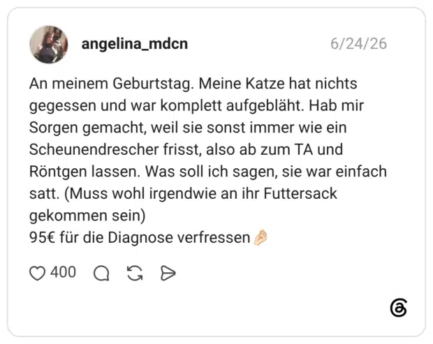 An meinem Geburtstag. Meine Katze hat nichts gegessen und war komplett aufgebläht. Hab mir Sorgen gemacht, weil sie sonst immer wie ein Scheunendrescher frisst, also ab zum TA und Röntgen lassen. Was soll ich sagen, sie war einfach satt. (Muss wohl irgendwie an ihr Futtersack gekommen sein) 95€ für die Diagnose verfressen🤌🏻