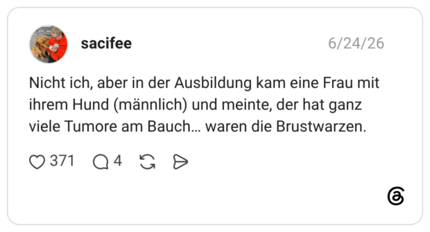 Nicht ich, aber in der Ausbildung kam eine Frau mit ihrem Hund (männlich) und meinte, der hat ganz viele Tumore am Bauch… waren die Brustwarzen.