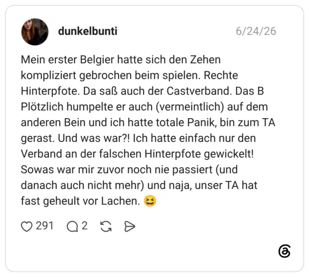 Mein erster Belgier hatte sich den Zehen kompliziert gebrochen beim spielen. Rechte Hinterpfote. Da saß auch der Castverband. Das B Plötzlich humpelte er auch (vermeintlich) auf dem anderen Bein und ich hatte totale Panik, bin zum TA gerast. Und was war?! Ich hatte einfach nur den Verband an der falschen Hinterpfote gewickelt! Sowas war mir zuvor noch nie passiert (und danach auch nicht mehr) und naja, unser TA hat fast geheult vor Lachen. 😆