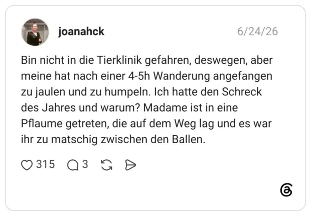 Bin nicht in die Tierklinik gefahren, deswegen, aber meine hat nach einer 4-5h Wanderung angefangen zu jaulen und zu humpeln. Ich hatte den Schreck des Jahres und warum? Madame ist in eine Pflaume getreten, die auf dem Weg lag und es war ihr zu matschig zwischen den Ballen.