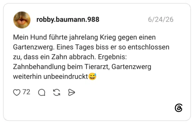 Mein Hund führte jahrelang Krieg gegen einen Gartenzwerg. Eines Tages biss er so entschlossen zu, dass ein Zahn abbrach. Ergebnis: Zahnbehandlung beim Tierarzt, Gartenzwerg weiterhin unbeeindruckt😅