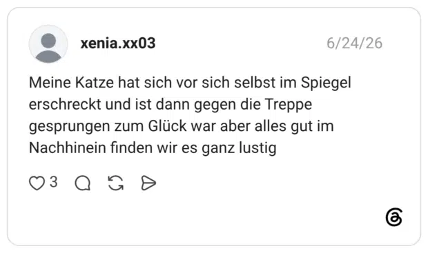 Meine Katze hat sich vor sich selbst im Spiegel erschreckt und ist dann gegen die Treppe gesprungen zum Glück war aber alles gut im Nachhinein finden wir es ganz lustig