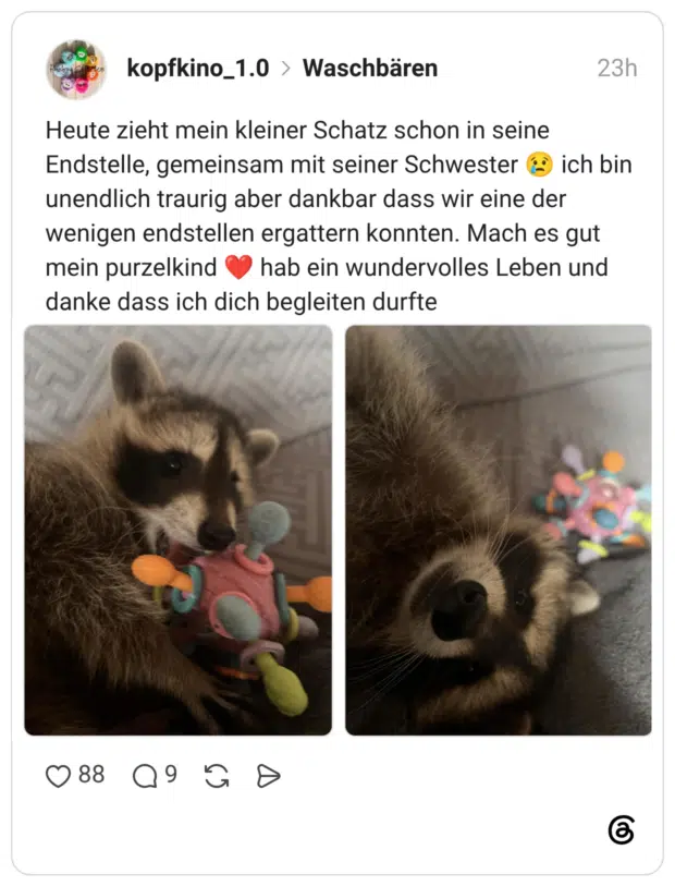 Heute zieht mein kleiner Schatz schon in seine Endstelle, gemeinsam mit seiner Schwester 😢 ich bin unendlich traurig aber dankbar dass wir eine der wenigen endstellen ergattern konnten. Mach es gut mein purzelkind ❤️ hab ein wundervolles Leben und danke dass ich dich begleiten durfte