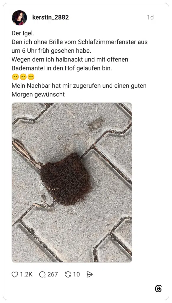Der Igel. Den ich ohne Brille vom Schlafzimmerfenster aus um 6 Uhr früh gesehen habe. Wegen dem ich halbnackt und mit offenen Bademantel in den Hof gelaufen bin. Mein Nachbar hat mir zugerufen und einen guten Morgen gewünscht