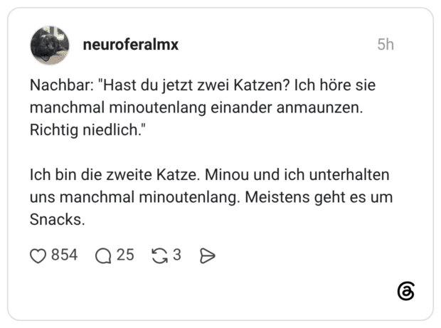 Nachbar: "Hast du jetzt zwei Katzen? Ich höre sie manchmal minoutenlang einander anmaunzen. Richtig niedlich." Ich bin die zweite Katze. Minou und ich unterhalten uns manchmal minoutenlang. Meistens geht es um Snacks.