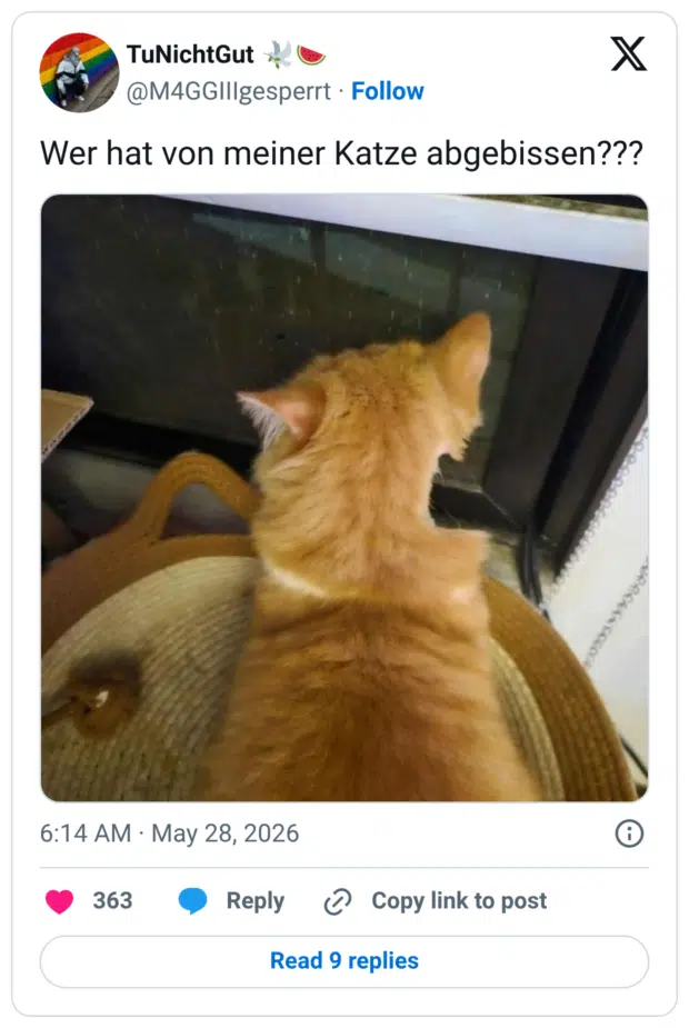 Wer hat von meiner Katze abgebissen???